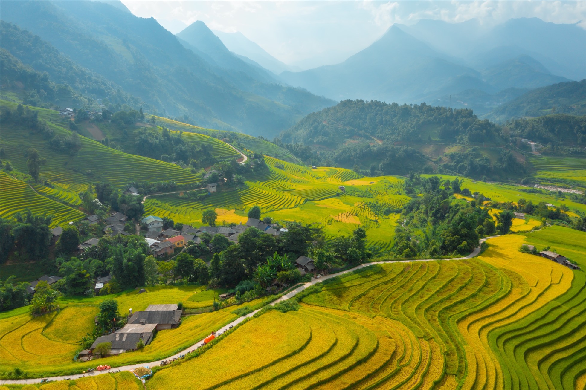 anh đòng lúa